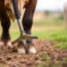 hoof care tools